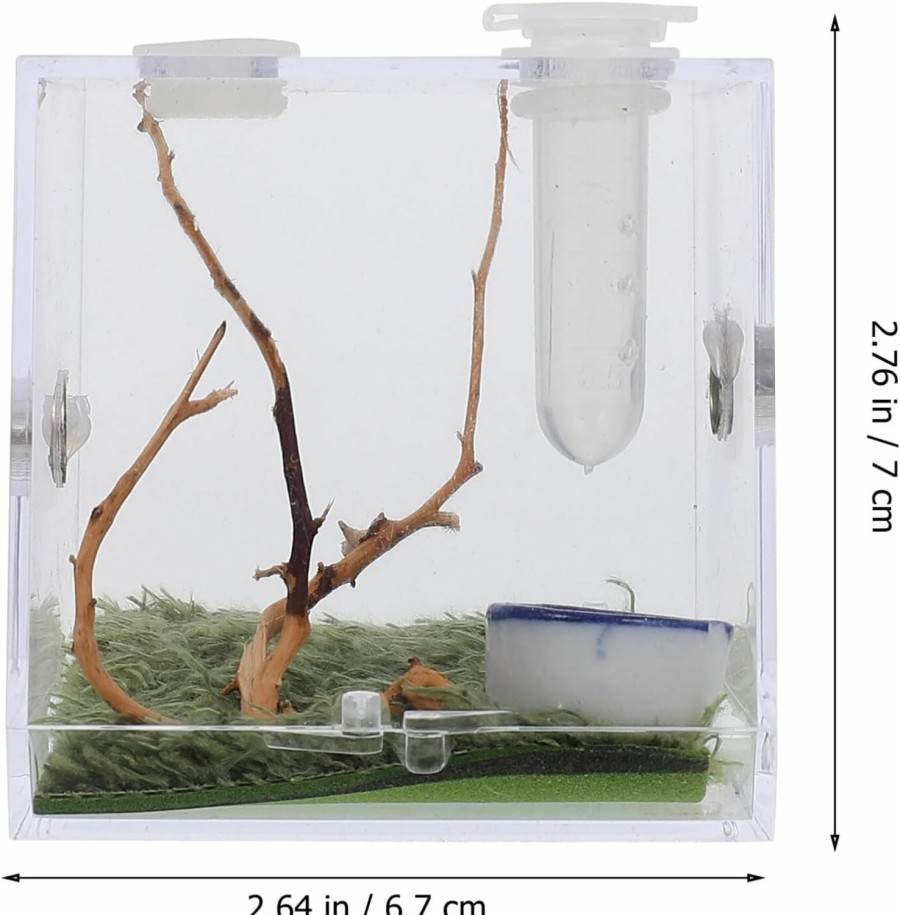 Reptiles & Amphibian VILLCASE | Spider Terrarium, Acrylic Reptile Breeding Box Jumping Spider Enclosure With Dropper Tongs For Tarantula Scorpion Sling Isopods Invertebrates Snake Gecko