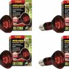 Reptiles & Amphibian Exo Terra | Exo Terra Heat-Glo Infrared Spot Lamp, 75-Watt/120-Volt (4 Pack)