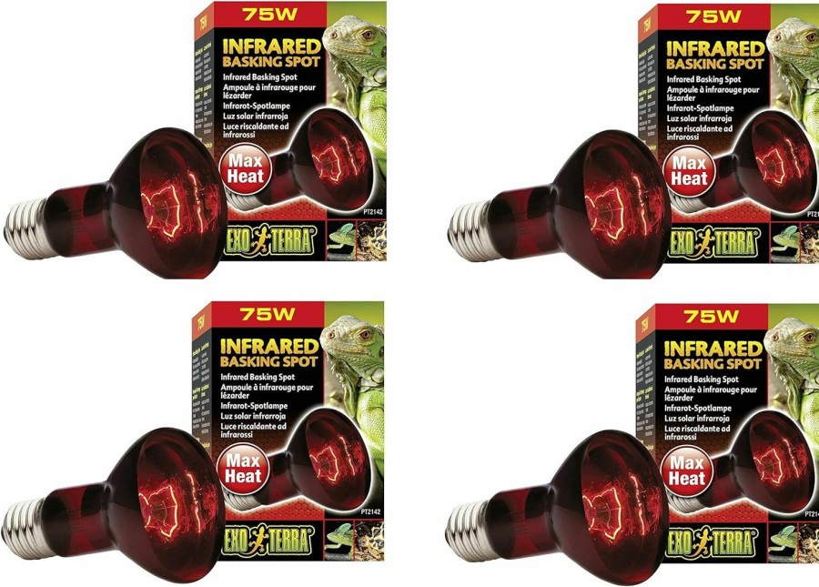 Reptiles & Amphibian Exo Terra | Exo Terra Heat-Glo Infrared Spot Lamp, 75-Watt/120-Volt (4 Pack)