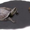 Reptiles & Amphibian Linifar | Linifar Reptile Basking Rock Plate Tortoise Feeding Platform Rock Slate Food Dish Habitat Decor For Bearded Dragon Lizard Crested Gecko Chameleon Snake