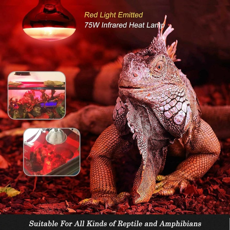 Reptiles & Amphibian FIVEAGE | Fiveage 4 Packs Reptile Red Heat Bulbs,75 Watt Infrared Basking Spot Lamp For Bearded Dragon, Reptile Basking Spot Bulb For Reptiles And Amphibian Use