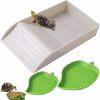 Reptiles & Amphibian XDONEF | 3Pcs Tortoise Food Dish With Ramp And Basking Platform Leaf Tortoise Water Food Bowls Reptile Water Dish Turtle Reptile Pool For Amphibians Brown