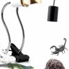 Reptiles & Amphibian Wagooly | Wagooly Reptile Heat Lamp Fixture - Reptile Heater Turtle Lamp W/ Heat Bulb, Temperature Switch Reptile Basking Light, Heat Light For Gecko Bearded Dragon Terrarium - Heat Clamp Lamp Long (75)