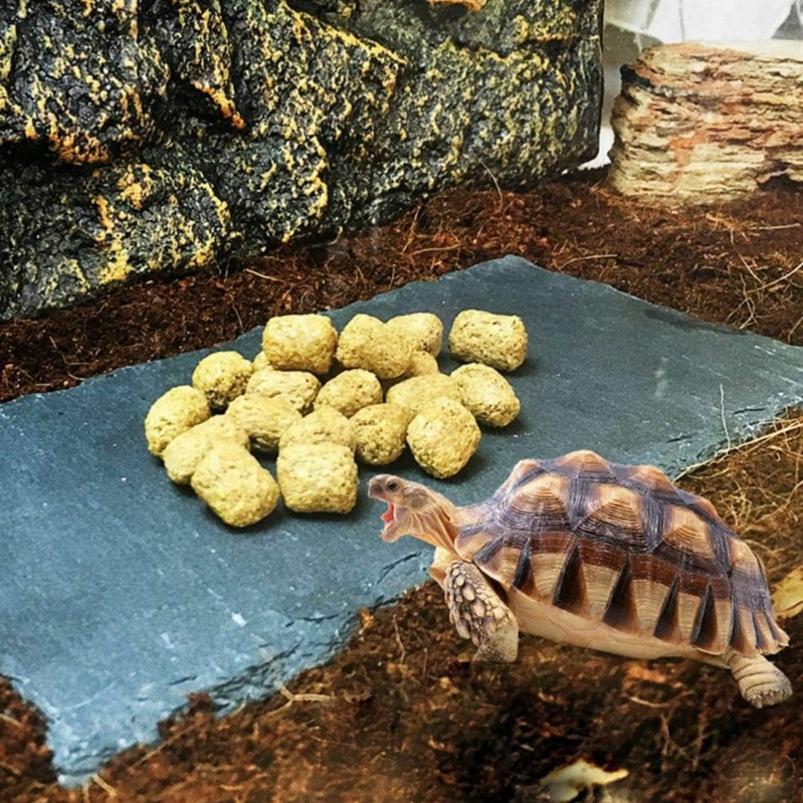 Reptiles & Amphibian balacoo | Balacoo 3Pcs Reptile Basking Platform Tortoise Slate Rock Tortoise Feeding Dish Food Bowl Landscape Habitat Decor For Turtle Lizard Gecko Snake