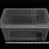 Reptiles & Amphibian Generic | Large Clear Stackable Invertebrate & Reptile Keeper Box With Hinged Lid