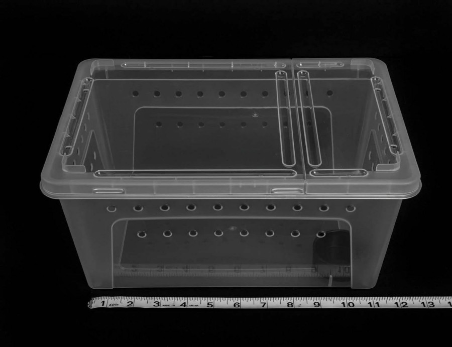 Reptiles & Amphibian Generic | Large Clear Stackable Invertebrate & Reptile Keeper Box With Hinged Lid