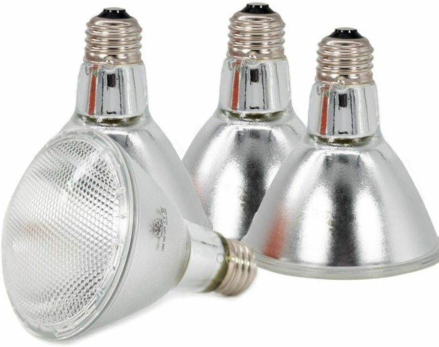 Reptiles & Amphibian Pangea | Pangea Halogen Heat Lamp (4-Pack) For Reptiles (50 Watt)