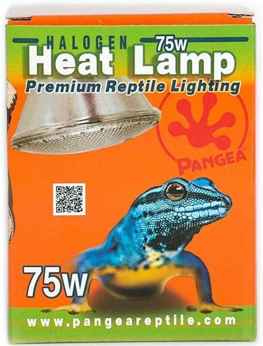 Reptiles & Amphibian Pangea | Pangea Halogen Heat Lamp (4-Pack) For Reptiles (50 Watt)