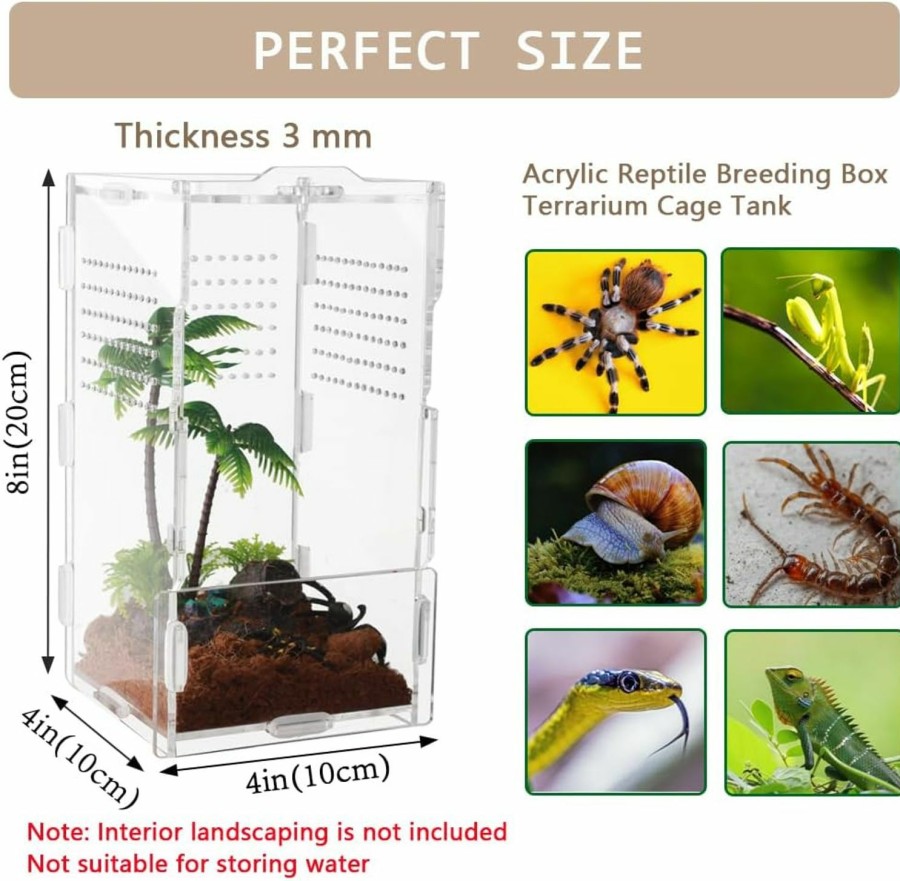 Reptiles & Amphibian LEIZHENZI | Jumping Spider Enclosure, 4\" X4 X8 Tarantula Enclosure,Reptile Feeding Box,Acrylic Reptile Terrarium Enclosure For Jumping Spiders Tarantula Insect Small Tree Dwelling Reptiles