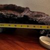 Reptiles & Amphibian Bison | Xl Reptile Basking Ledge With Feeding Dish