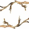 Reptiles & Amphibian Exo Terra | (2 Pack) Exo Terra Forest Branches, Large