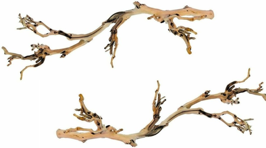 Reptiles & Amphibian Exo Terra | (2 Pack) Exo Terra Forest Branches, Large