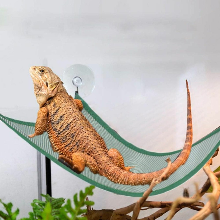 Reptiles & Amphibian ADOGGYGO | Adoggygo Bearded Dragon Lizard Hammock Reptile Hammock Lounger Ladder Bearded Dragon Hammock Accessories For Bearded Dragons Geckos Lizards Reptile (Green)