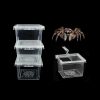 Reptiles & Amphibian Yitokmc | 10 Pieces Insect Container Spider Terrariums Critter Keeper Pet Baby Enclosure Breeding Box Snail Container Small Reptile Terrarium Insect Enclosure Tank Spider Habitat Cage