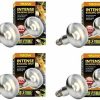 Reptiles & Amphibian Exo Terra | Exo Terra Sun-Glo Basking Infrared Spot Lamp, 150-Watt/120-Volt (4 Pack)