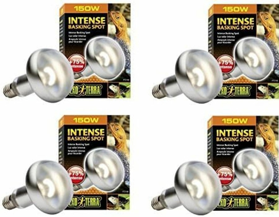 Reptiles & Amphibian Exo Terra | Exo Terra Sun-Glo Basking Infrared Spot Lamp, 150-Watt/120-Volt (4 Pack)