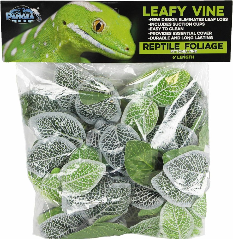 Reptiles & Amphibian Pangea | Pangea Leafy Vine For Reptile Terrarium Habitat (Fittonia)