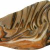 Reptiles & Amphibian Rock Garden | Rock Garden 5.5 X 4 X 2.5\" Earthtone Corner Bowl, Medium