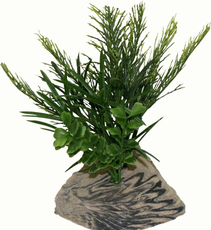 Reptiles & Amphibian Rock Garden | Rock Garden Natural Green Plant With Decorative Resin Base, 6\"