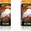 Reptiles & Amphibian Exo Terra | Exo Terra Uvb150 Desert Reptile Terrarium Lamp Light Bulb 13 Watts Pack Of 2