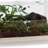 Reptiles & Amphibian WBHONGHUI | Wbhonghui Acrylic Clear Reptile Habitat Enclosure Terrarium With Latch ,Perfect For Amphibians And Invertebrates Such As Spiders, Frogs, Etc, Large Size, Horizontal Or Vertical Style