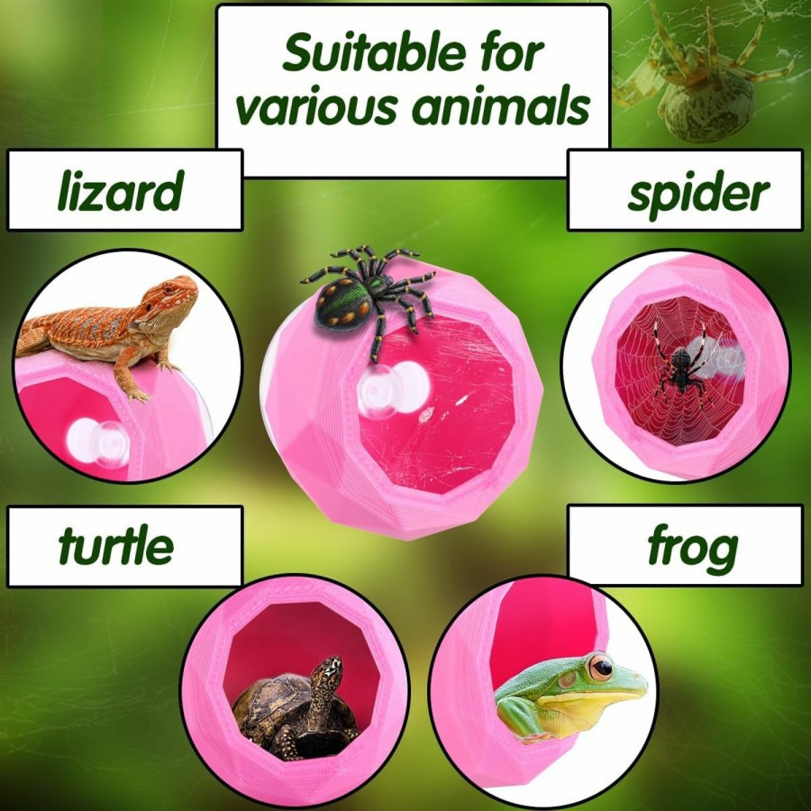 Reptiles & Amphibian Abizoo | Abizoo Pet Jumping Spider Hidden House, Jumping Spider Enclosure,Reptile Hideouts Spider Hide Swing With Suction Cup, Tarantula Enclosure Pet Spider And Frog Hide Cave Climbing Toys