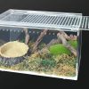 Reptiles & Amphibian Apatal | Apatal Acrylic Reptile Terrarium Enclosure 9.8\" X 5.9\" X 5.9\" Magnetic Tarantula Breeding Box Transparent Insect Habitat For Jumping Spider Hermit Crab Lizard Sling Isopods Horned Frog Snake Gecko