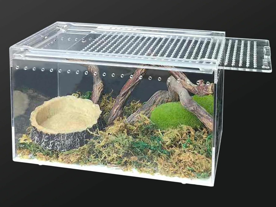 Reptiles & Amphibian Apatal | Apatal Acrylic Reptile Terrarium Enclosure 9.8\" X 5.9\" X 5.9\" Magnetic Tarantula Breeding Box Transparent Insect Habitat For Jumping Spider Hermit Crab Lizard Sling Isopods Horned Frog Snake Gecko