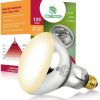 Reptiles & Amphibian REPTI HOME | Repti Home Uva Uvb Reptile Heat Lamp, Full Spectrum 80W Vapor Bulb, Upgraded Uvb Reptile Light Simulate Natural Sunlight, Premium Heat Lamp Bulb For Reptiles And Amphibians