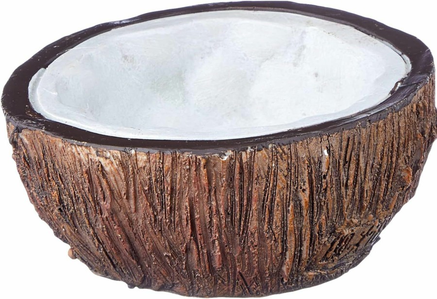 Reptiles & Amphibian Exo Terra | Exo Terra Coconut Water Dish