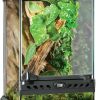 Reptiles & Amphibian Exo Terra | Exo Terra Glass Natural Terrarium Kit, For Reptiles And Amphibians, Nano Tall, 8 X 8 X 12 Inches, Pt2601A1