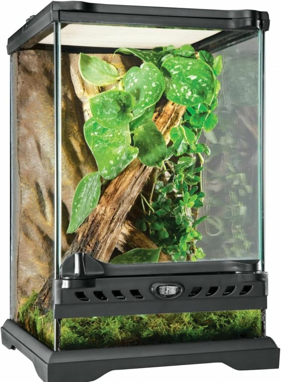 Reptiles & Amphibian Exo Terra | Exo Terra Glass Natural Terrarium Kit, For Reptiles And Amphibians, Nano Tall, 8 X 8 X 12 Inches, Pt2601A1