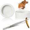 Reptiles & Amphibian WACURRENTHYD | 2Pcs Mini Reptile Food Dish Bowls Worm Water Dish Feeder Lizard Gecko Ceramic Pet Bowls With Tongs For Tortoise Lizard Bearded Dragon Frog Leopard Gecko Snake Chameleon(Small, 1.93Inch)