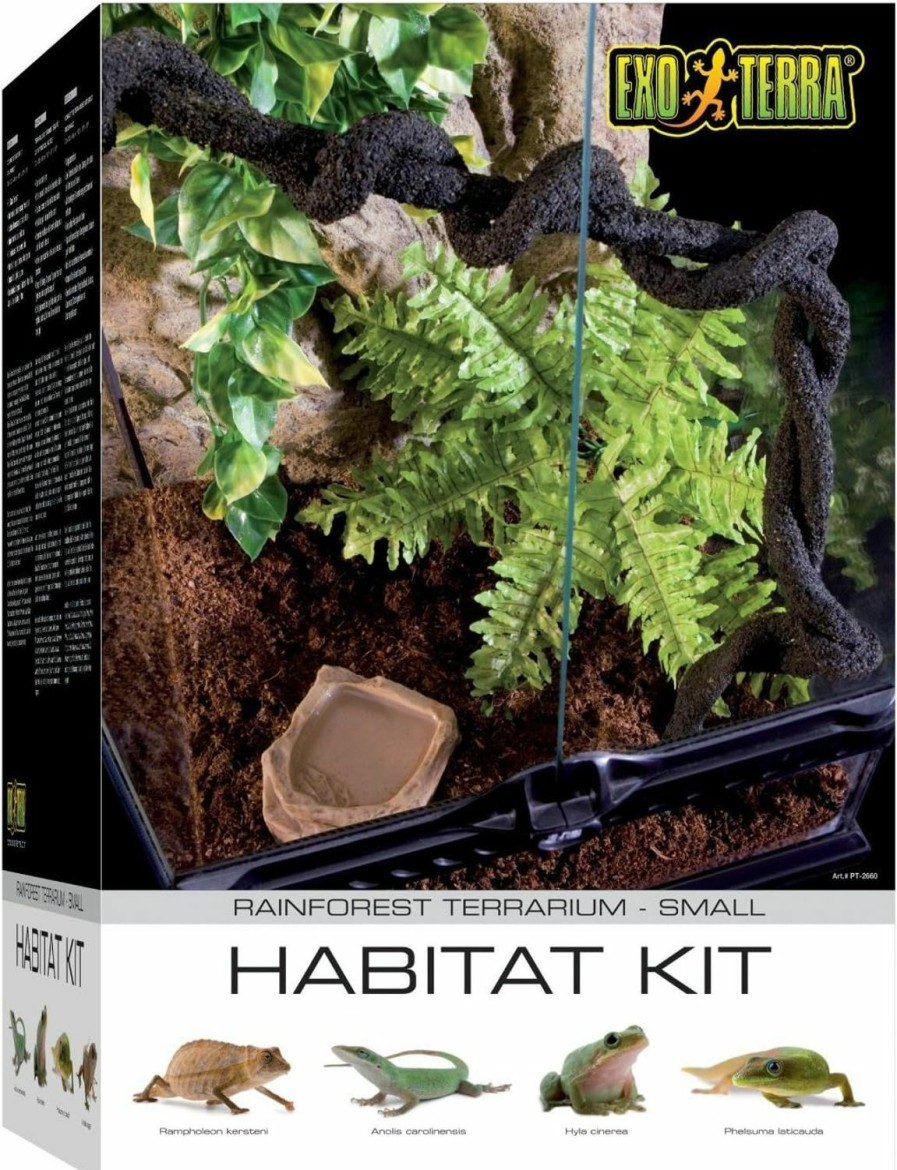 Reptiles & Amphibian Exo Terra | Exo Terra Rainforest Habitat Kit (Includes Pt2607) - Medium