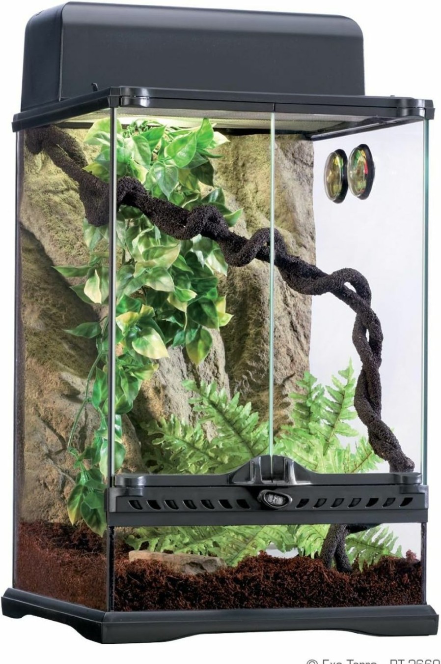 Reptiles & Amphibian Exo Terra | Exo Terra Rainforest Habitat Kit (Includes Pt2607) - Medium