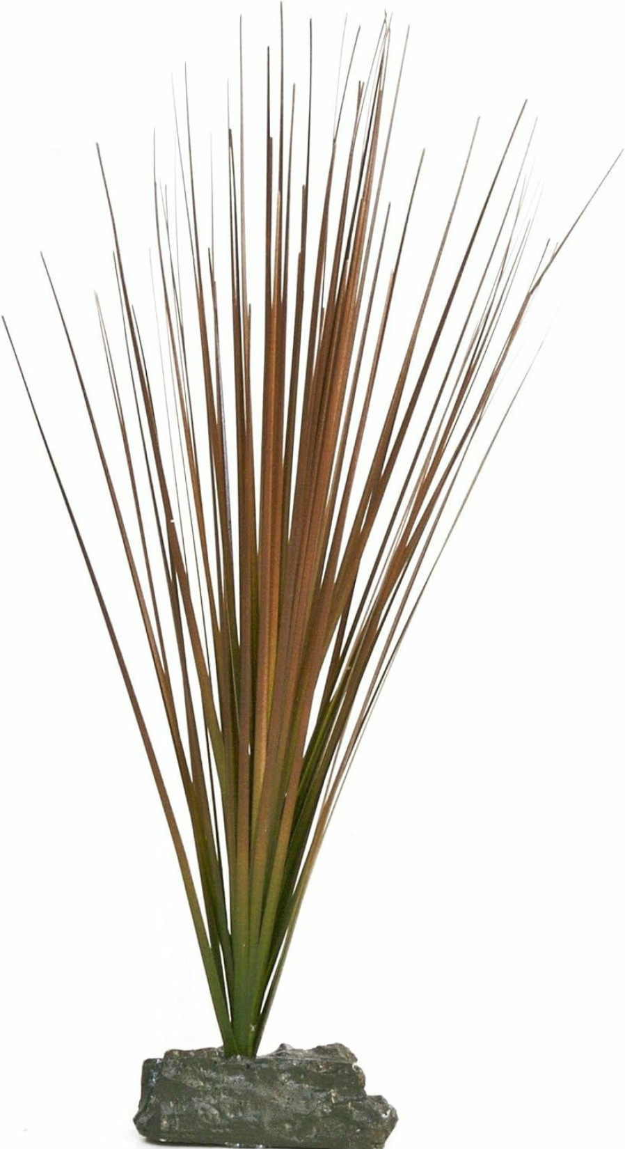 Reptiles & Amphibian Zoo Med | Zoo Med Naturalistic Flora Bunch Grass, Small 8-Inch