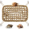 Reptiles & Amphibian Poen | Poen Hermit Crab Climbing Toys Lizard Lounger Hermit Crab Supplies Seagrass Fibers Reptile Hammock Hermit Crab Climbing Wall Hermit Crab Net For Small Reptiles Guinea Pig Hermit Crab Accessories