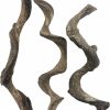 Reptiles & Amphibian BNOSDM | Reptile Decor Natural Forest Branch Terrarium Habitat Decoration Lizard Climbing Tree Branch For Bearded Dragon Gecko Snake Frog Chameleon Spider 4Pcs