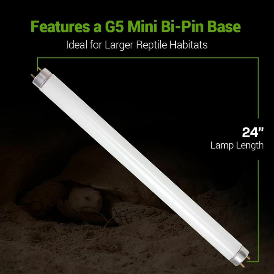 Reptiles & Amphibian Bluex Bulbs | 2 Pack 15W-Watt T8 Reptile Light Desert Uva Uvb 10.0 Fluorescent Tube - 18\" Terrarium Hood Light Suitable For Desert Reptile Lizards Bearded Dragons & More Promotes Natural Behavior Uvb Bulb (18 Inch)