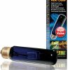 Reptiles & Amphibian Exo Terra | Exo Terra Night Glo Moonlight Heat Lamp, A19 Reptile Terrarium Light Bulb, 75 Watts, Pt2130A1