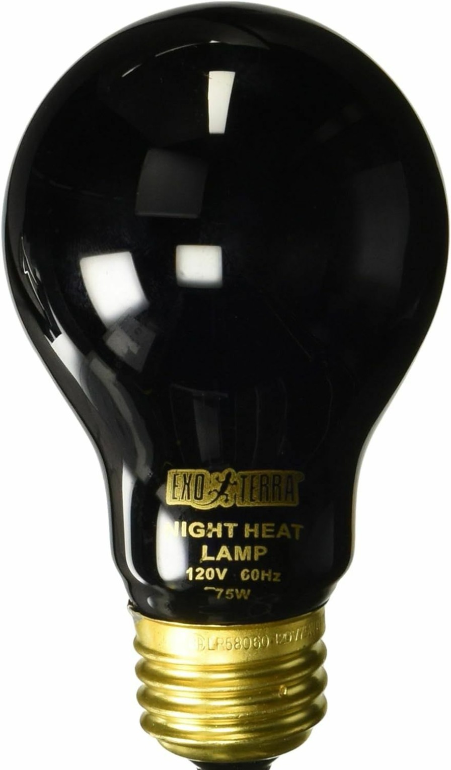 Reptiles & Amphibian Exo Terra | Exo Terra Night Glo Moonlight Heat Lamp, A19 Reptile Terrarium Light Bulb, 75 Watts, Pt2130A1