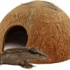 Reptiles & Amphibian Generic | Hexagrowth Coconut Hideouts, Reptile, Hermit, Lizard, Aquarium Decor For Fish, Brown