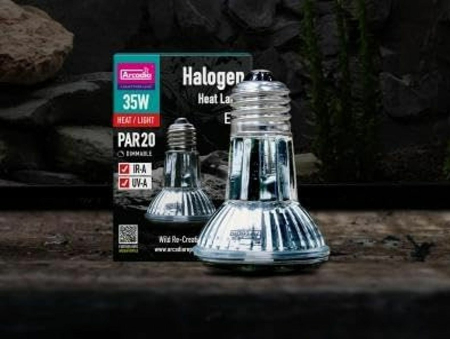 Reptiles & Amphibian Arcadia | Arcadia Halogen Heat Lamp-35 Watt