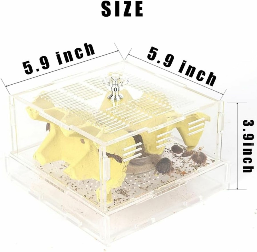 Reptiles & Amphibian WOLEDOE | Woledoe Acrylic Mealworms Keeper, Dubia Roach Container Fit Superworms - Medium