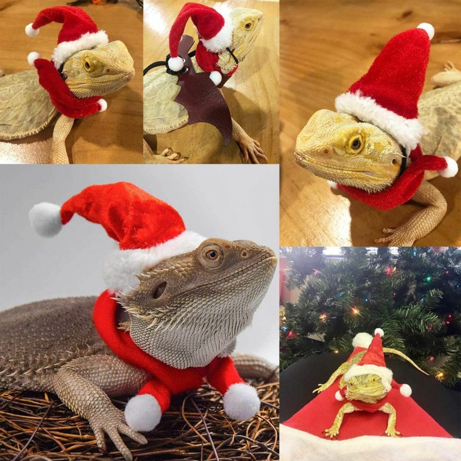 Reptiles & Amphibian KUDES | Kudes Christmas Bearded Dragon Santa Hat Scarf Lizard Leash Harness Set,Lizard Christmas Costume Christmas Scarf And Hat + 3 Pack Bearded Dragon Harness Leash For Reptile Small Pet Cosplay Party