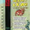 Reptiles & Amphibian Zoo Med | Zoo Med Hermit Crab Thermometer [Set Of 4]