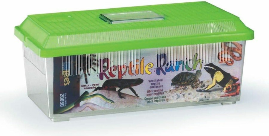 Reptiles & Amphibian Lee | Reptile Ranch