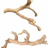 Reptiles & Amphibian BNOSDM | Bnosdm Reptile Wood Branches Decor Lizard Habitat Decoration Terrarium Tree Trunk Ornament For Bearded Dragon Gecko Snake Frog Chameleon Spider 2Pcs