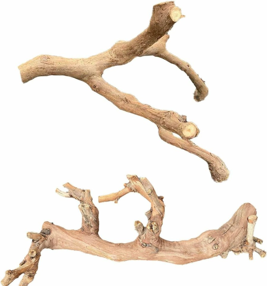 Reptiles & Amphibian BNOSDM | Bnosdm Reptile Wood Branches Decor Lizard Habitat Decoration Terrarium Tree Trunk Ornament For Bearded Dragon Gecko Snake Frog Chameleon Spider 2Pcs