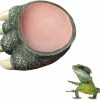 Reptiles & Amphibian BNOSDM | Bnosdm Reptile Food Bowls Amphibian Feeding Resin Dish,Reptile Tank Decor Bowl For Lizards, Chameleon, Leopard Gecko, Frog, Bearded Dragons, Snake, Hermit Crabs, Turtle Spider Pet